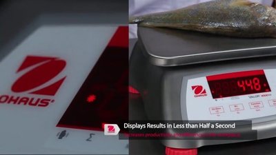Ohaus Corporation Valor® 2000 (0.0005 lbs)
