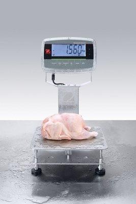 Ohaus Corporation Defender 6000 Extreme Washdown Bench Scale with Column Mount (0.002lb)