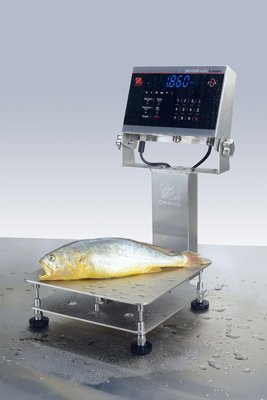 Ohaus Corporation Defender 6000 Extreme Washdown Standard Bench Scale (0.002lb)