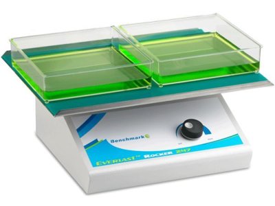 Benchmark Scientific Everlast™ Rocker 247