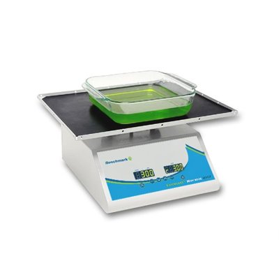 Benchmark Scientific Everlast™ Rocker 247