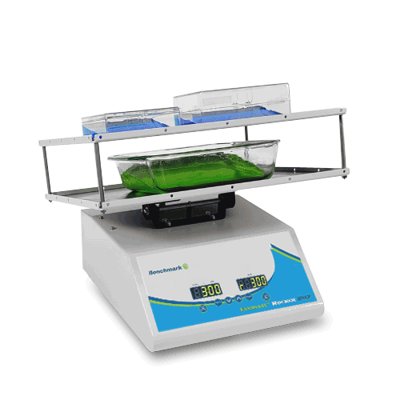 Benchmark Scientific Everlast™ Rocker 247