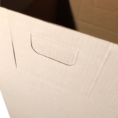 Dynalon Products Plain Disposable Box with Handles