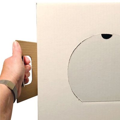 Dynalon Products Plain Disposable Box with Handles