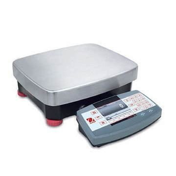 Ranger® 3000 (0.0001 lbs)