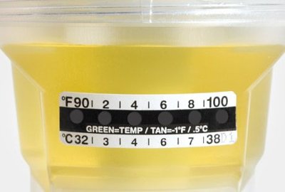 Thermometer Strips
