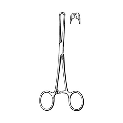 Tissue Forceps, 4x5 Teeth, 10&quot;